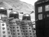 PHOTOGRAPH - Daleks (04).jpg