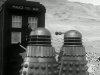 PHOTOGRAPH - Daleks (02).jpg