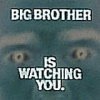 PHOTOGRAPH - Big Brother (01).jpg