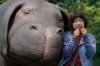 strong-okja-reviews-despite-screening-blunders-696x464.jpg