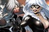 silver-sable-and-black-cat-scores-a-director-696x464.jpg