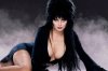 new-elvira-film-shopped-around-696x464.jpg