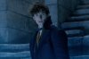 final-trailer-fantastic-beasts-crimes-of-grindlewald-696x464.jpg