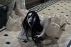 the-grudge-remake-hit-by-a-lawsuit.jpg