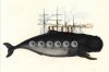 ahab-vs-nemo-in-great-eastern-film-696x464.jpg