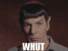 gif-spock-star-trek-whut.gif