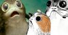 Star-Wars-8-Porg-Details-Official.jpg