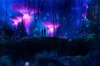 cameron-on-avatar-2-underwater-filming-696x464.jpg