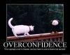 PHOTOGRAPH - Overconfidence.jpg