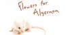 flowers-for-algernon.jpg