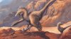 _101862245_velociraptorhuntingdancecrop1.jpg