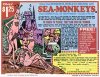 sea-monkeys-ad-02.jpg